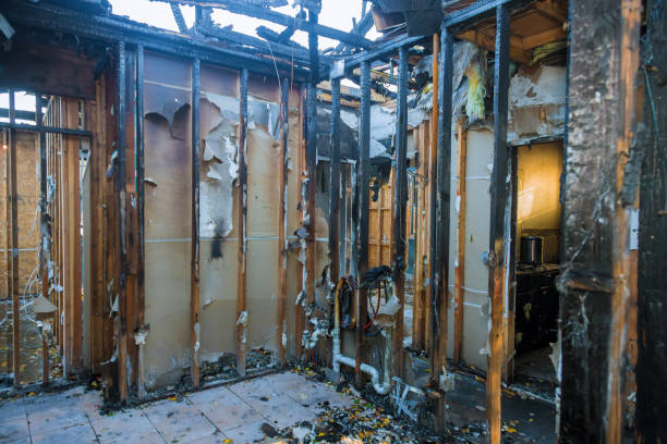 Professional Fire Damage Removal technician working in Bayou Blue, LA